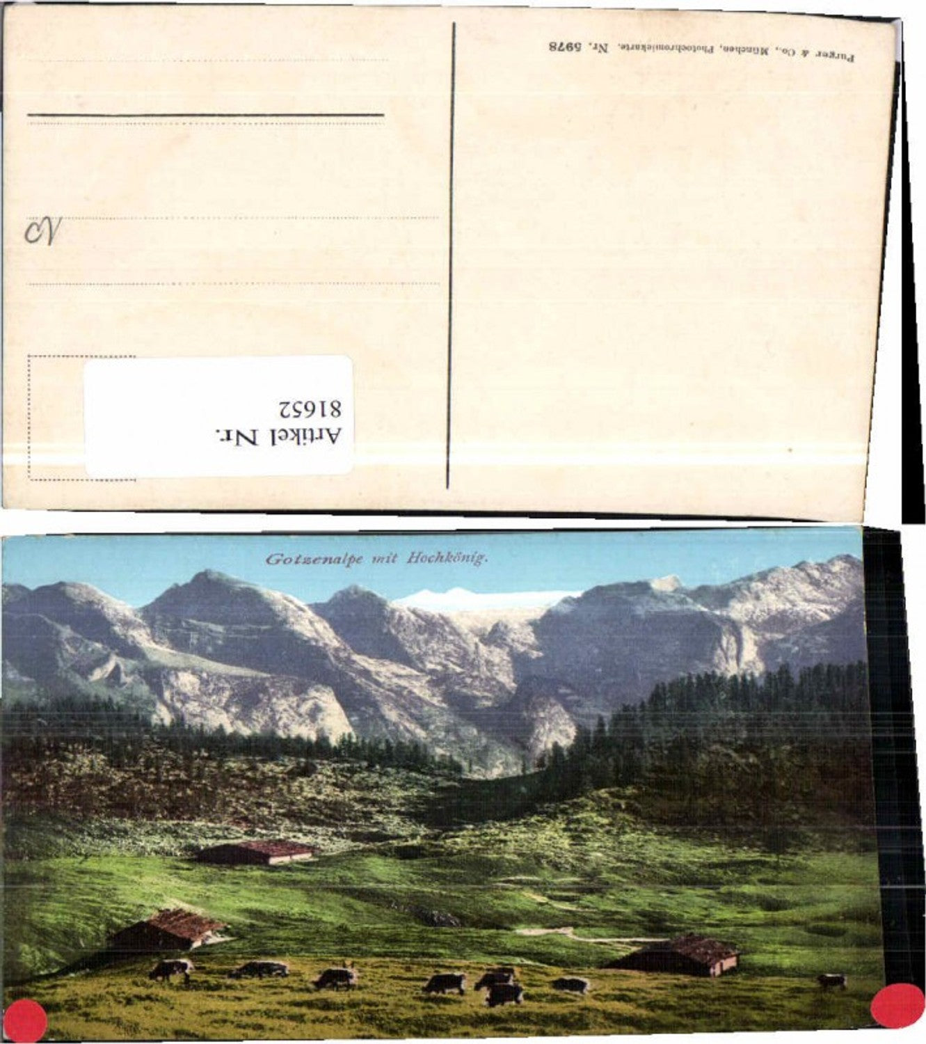 81652,Gotzenalpe Hochkönig Mühlbach Purger Co 5978