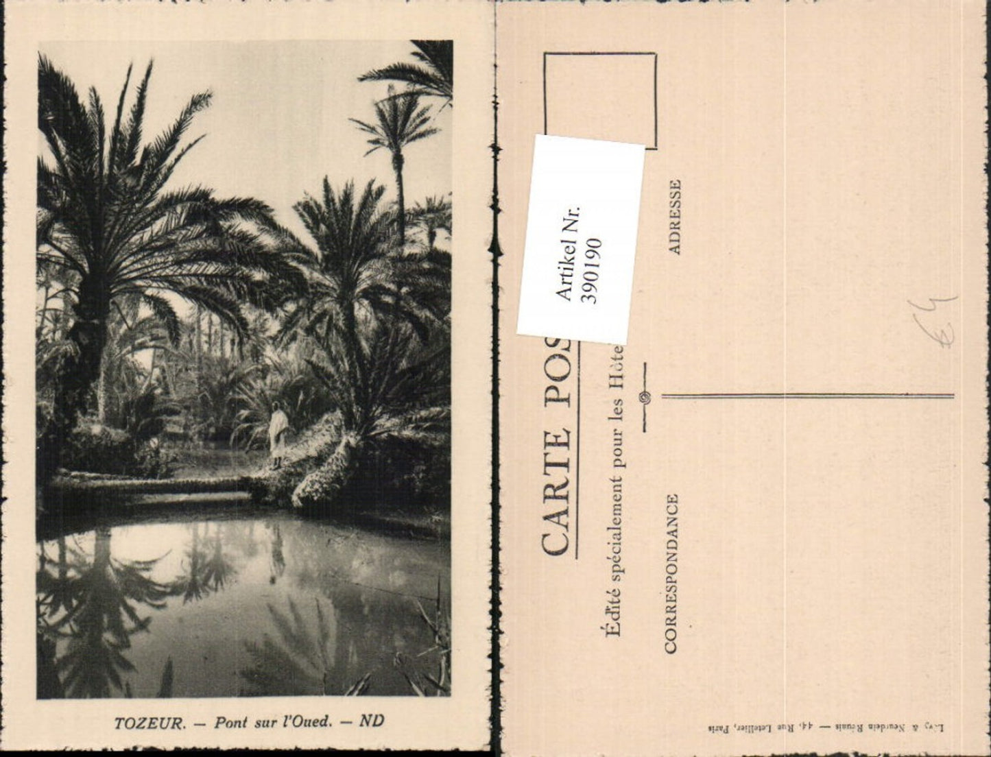 390190,Tunisia Tozeur Pont sur l'Oued Brücke Palmen