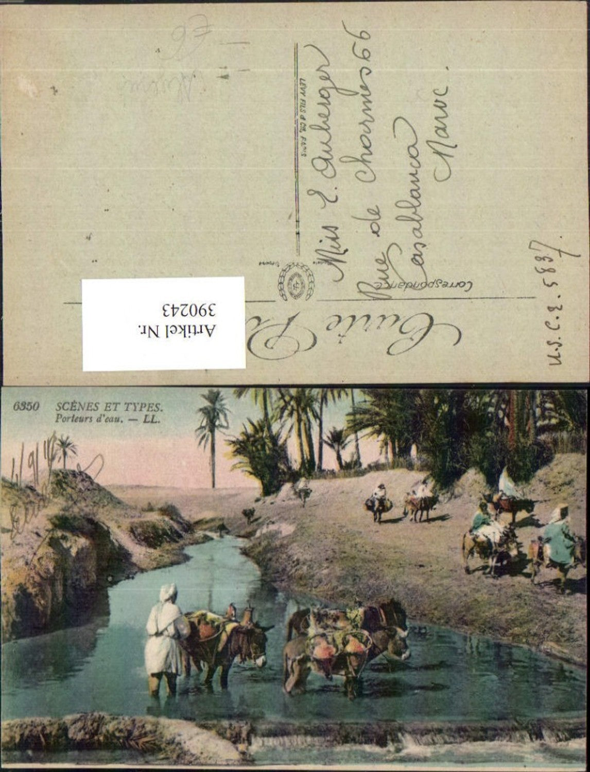 390243,Algeria Scenes et Types Porteurs d'eau Oase Volkstypen Nomaden Esel