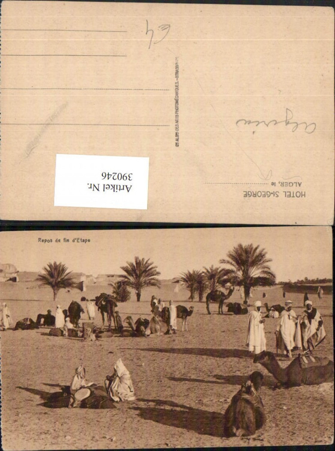 390246,Algeria Alger Algier Repos de fin d'Etape Volkstypen Palmen