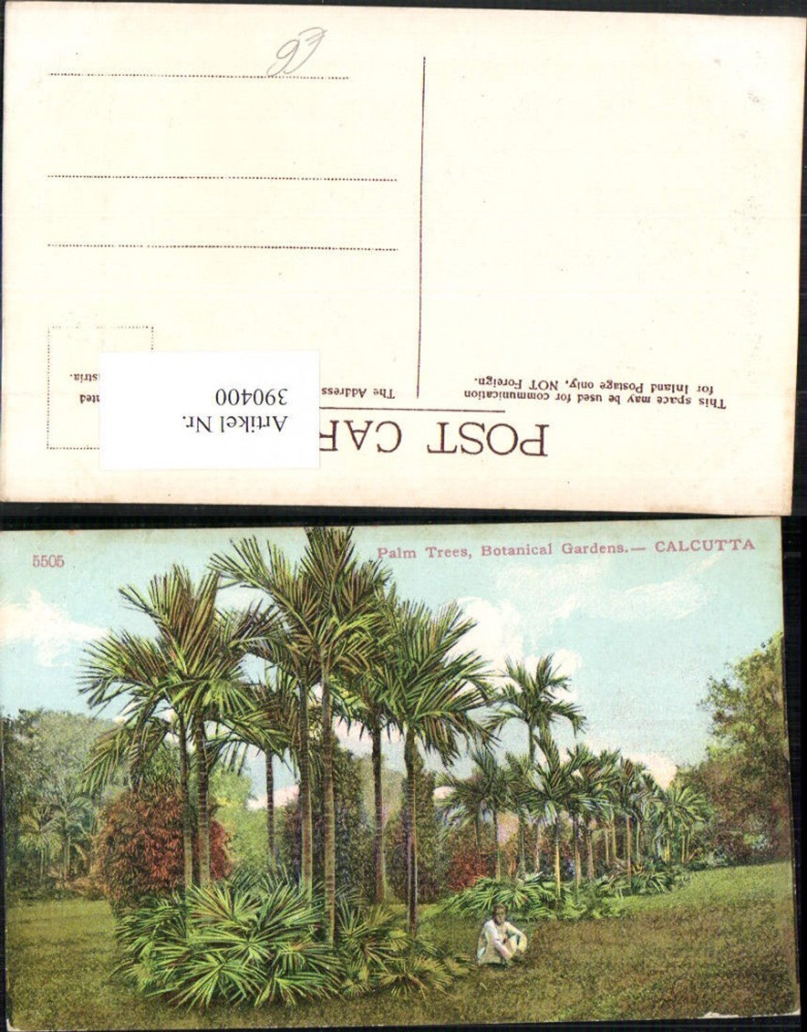 390400,India Calcutta Kalkutta Botanical Gardens Palm Trees Palmen
