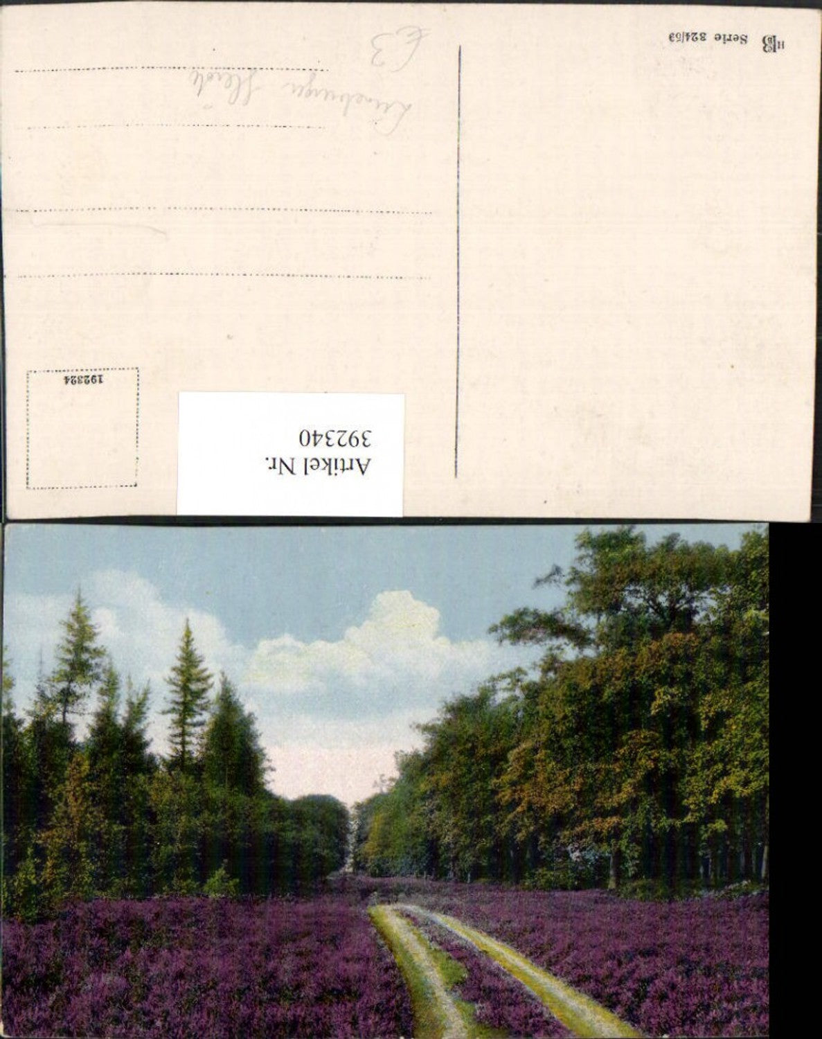 392340,Lüneburger Heide Landschaft Wegpartie