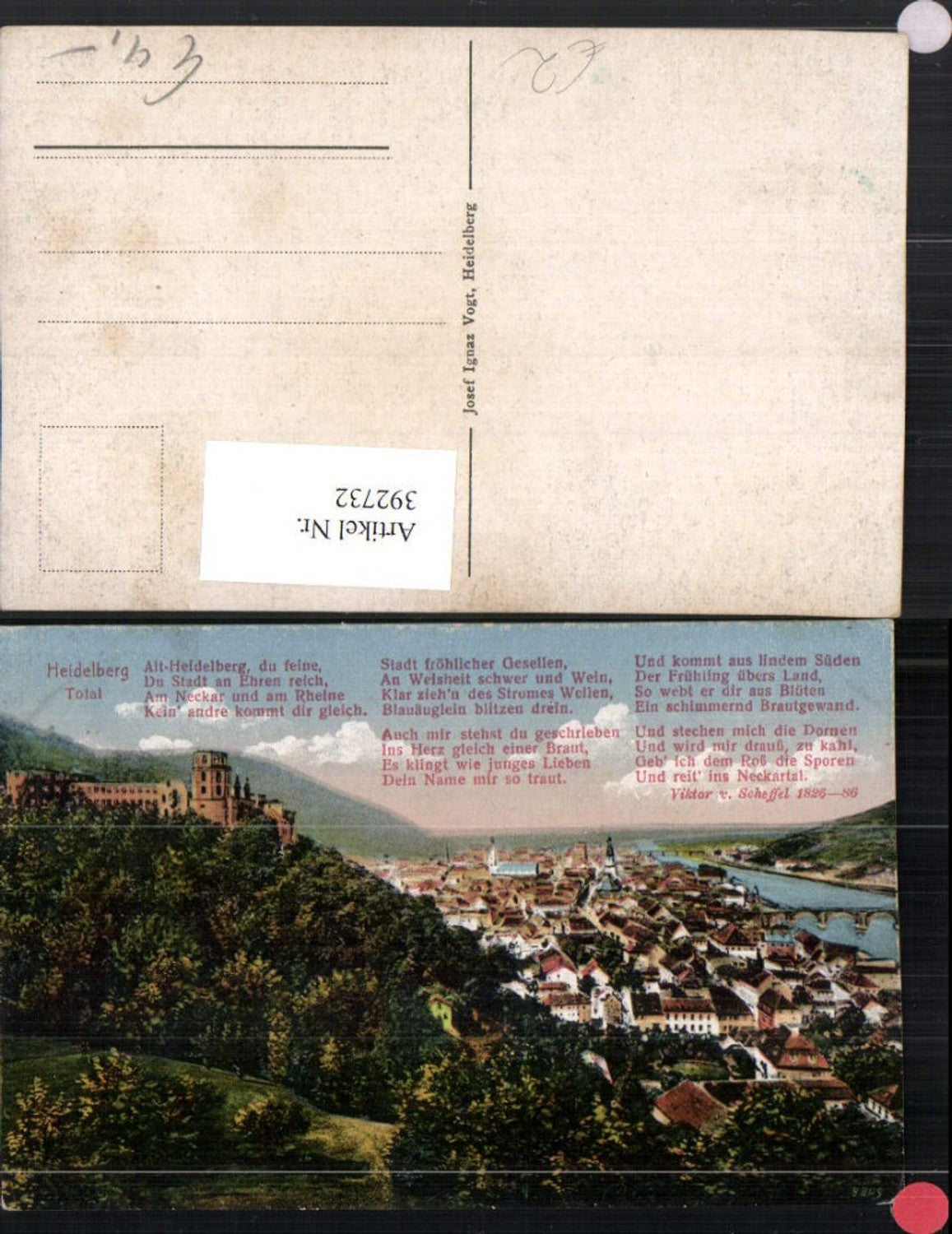 392732,Heidelberg Totale m. Schloss Text