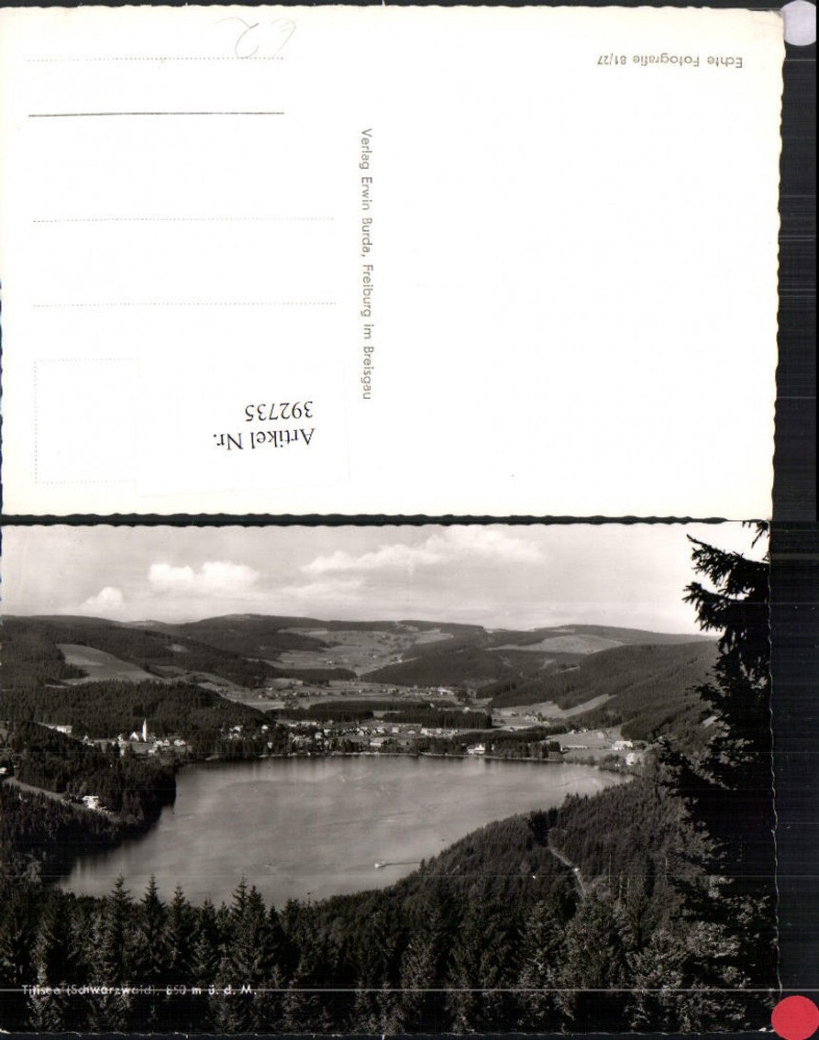 392735,Titisee im Schwarzwald Totale See