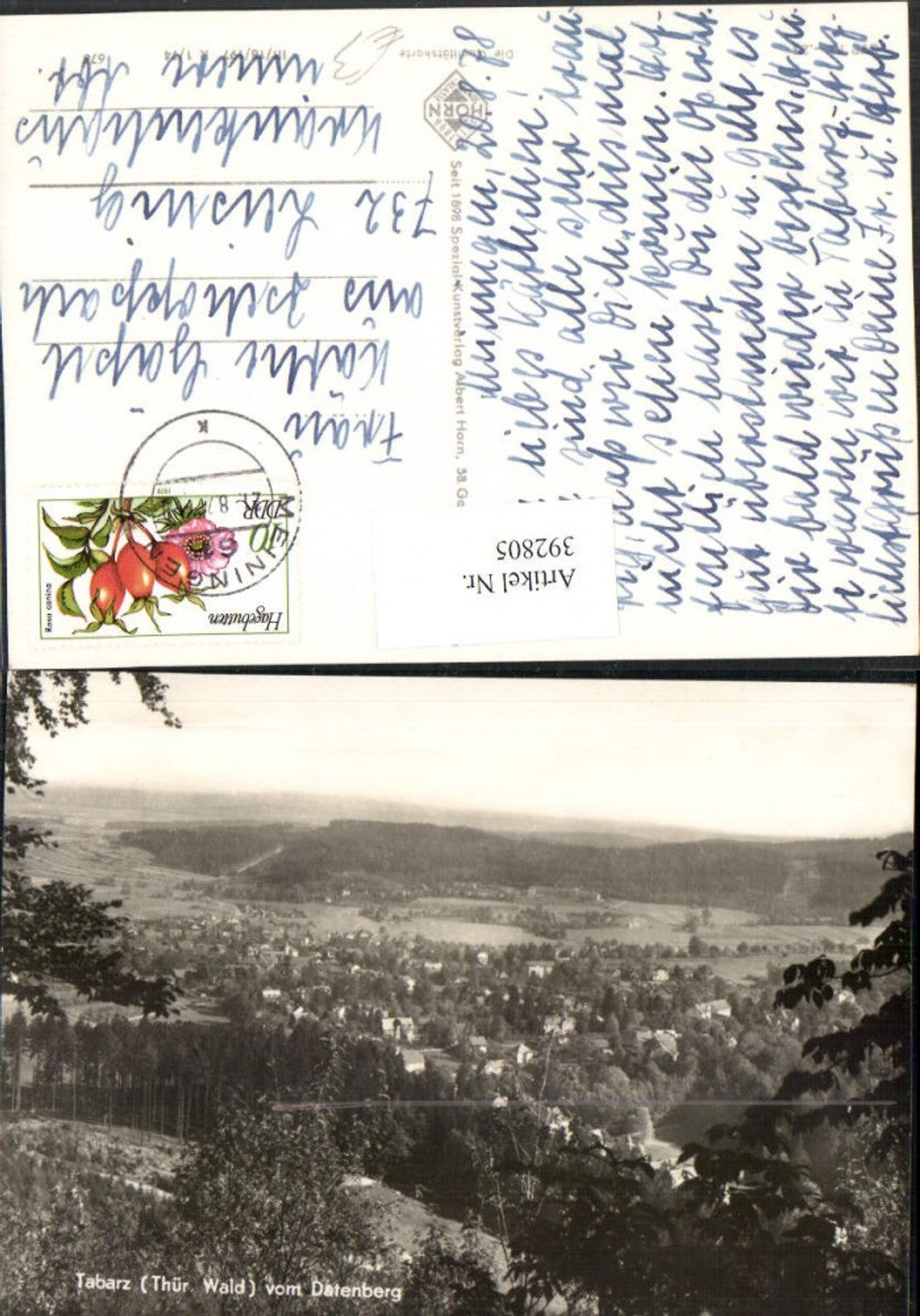 392805,Tabarz Totale vom Datenberg