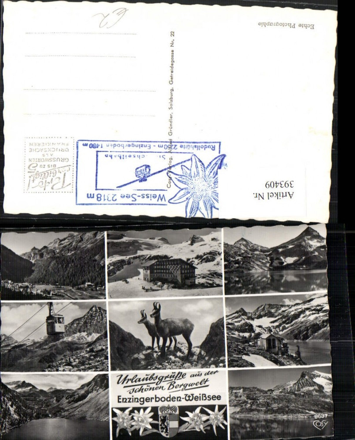 393409,Enzingerboden Weißsee b. Uttendorf Seilbahn Gämse Mehrbildkarte pub Cosy 9637