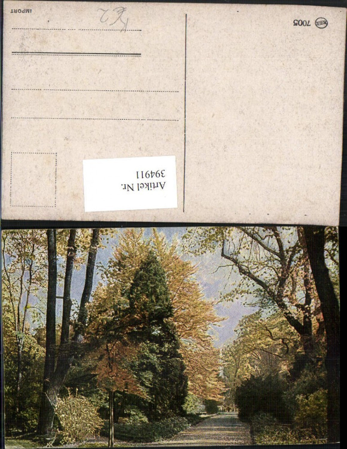 394911,Künstler AK Landschaft Wald Bäume Wegpartie