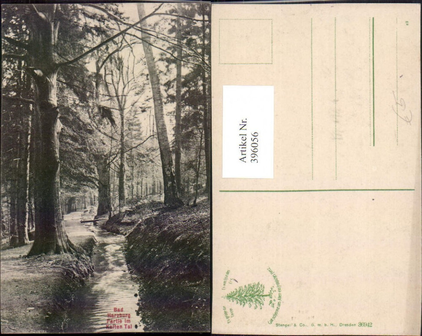 396056,Bad Harzburg Partie im Kalten Tal Wald Bach