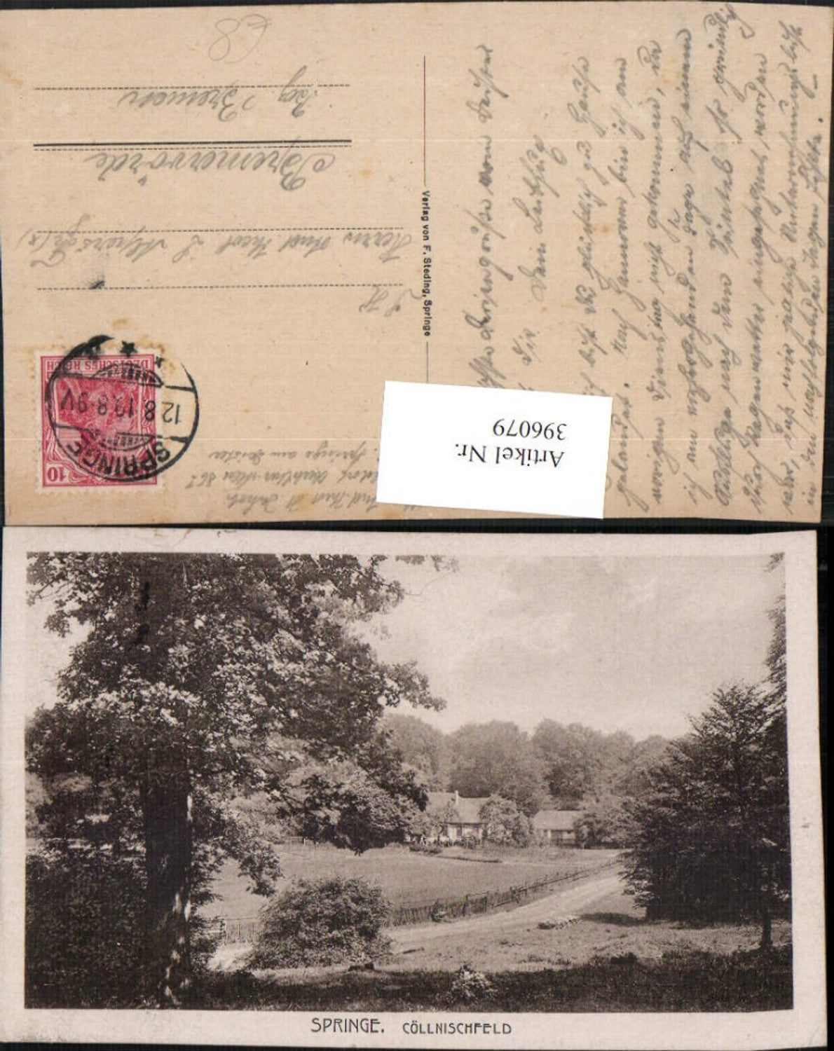 396079,Springe Cöllnischfeld Köllnischfeld Landschaft