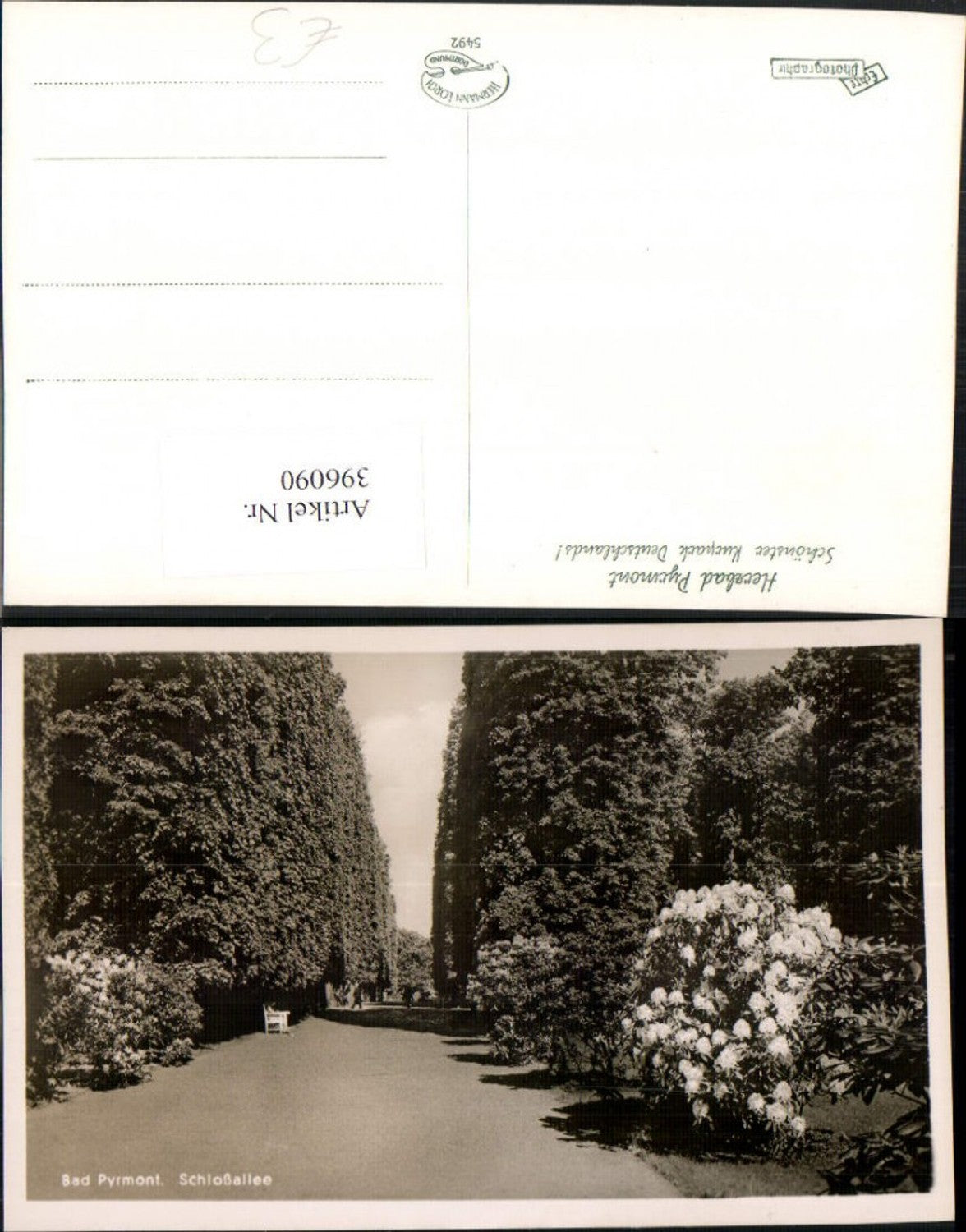 396090,Bad Pyrmont Schlossallee