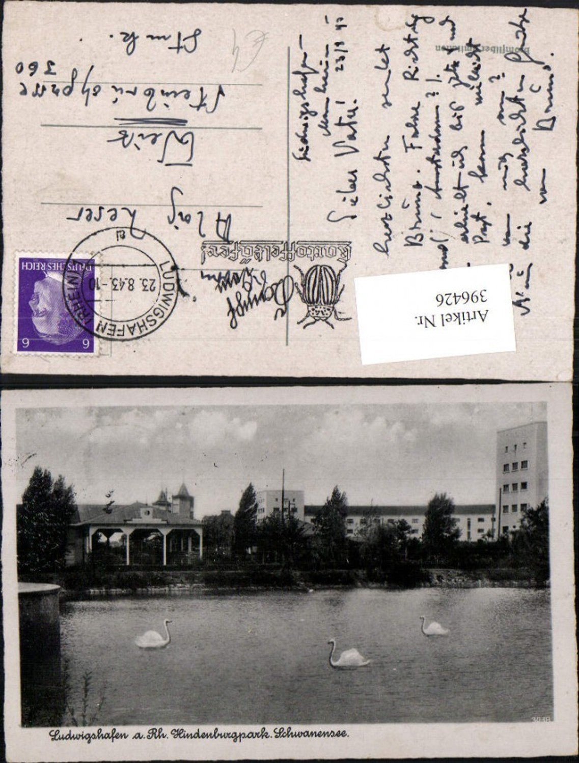396426,Ludwigshafen am Rhein Hindenburgpark Schwanensee Schwäne