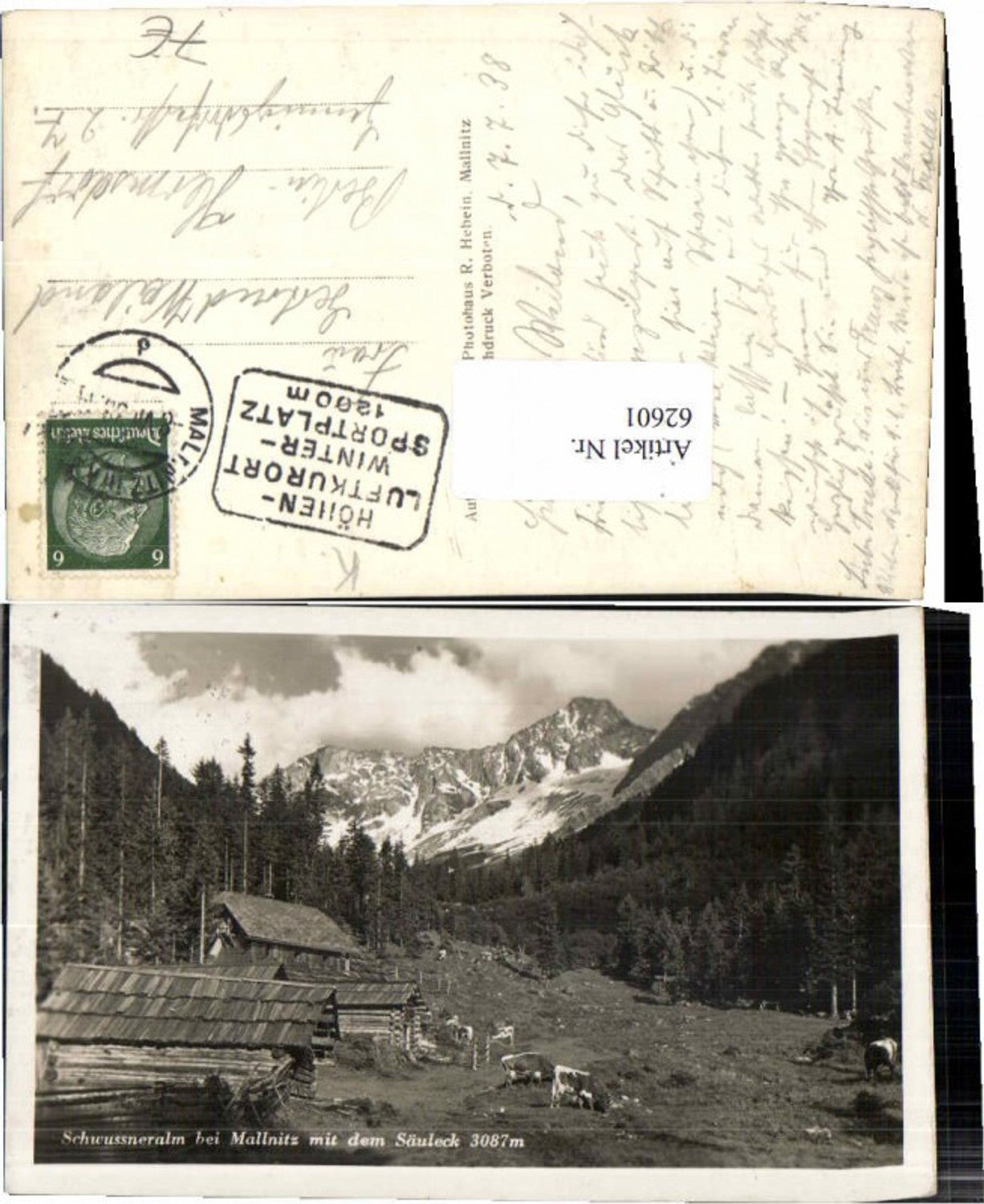 62601,Schwussneralm bei Mallnitz Kühe 1938