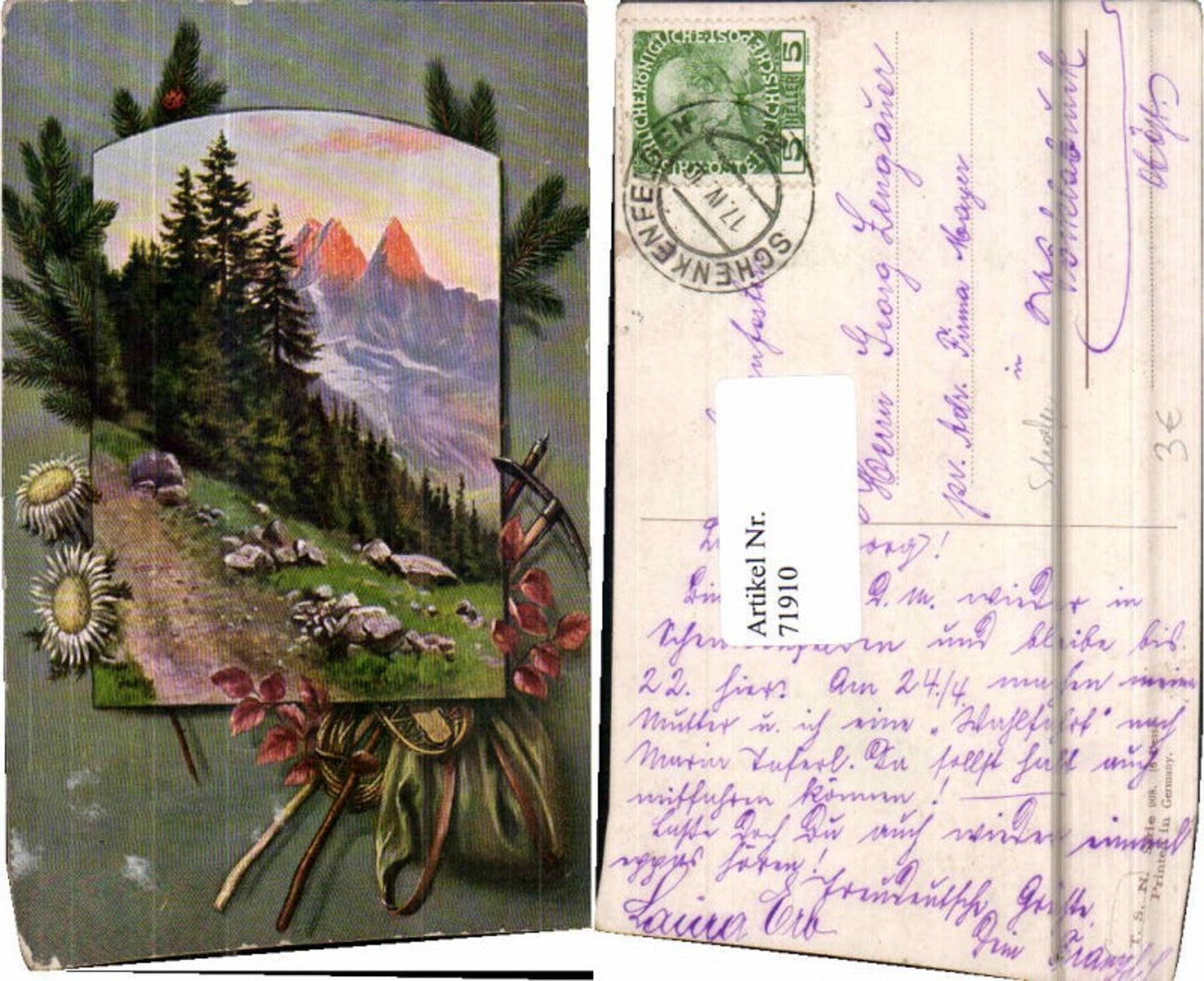 71910, Theo Stroefer 908 Mountains Climbing Ice axe Flowers