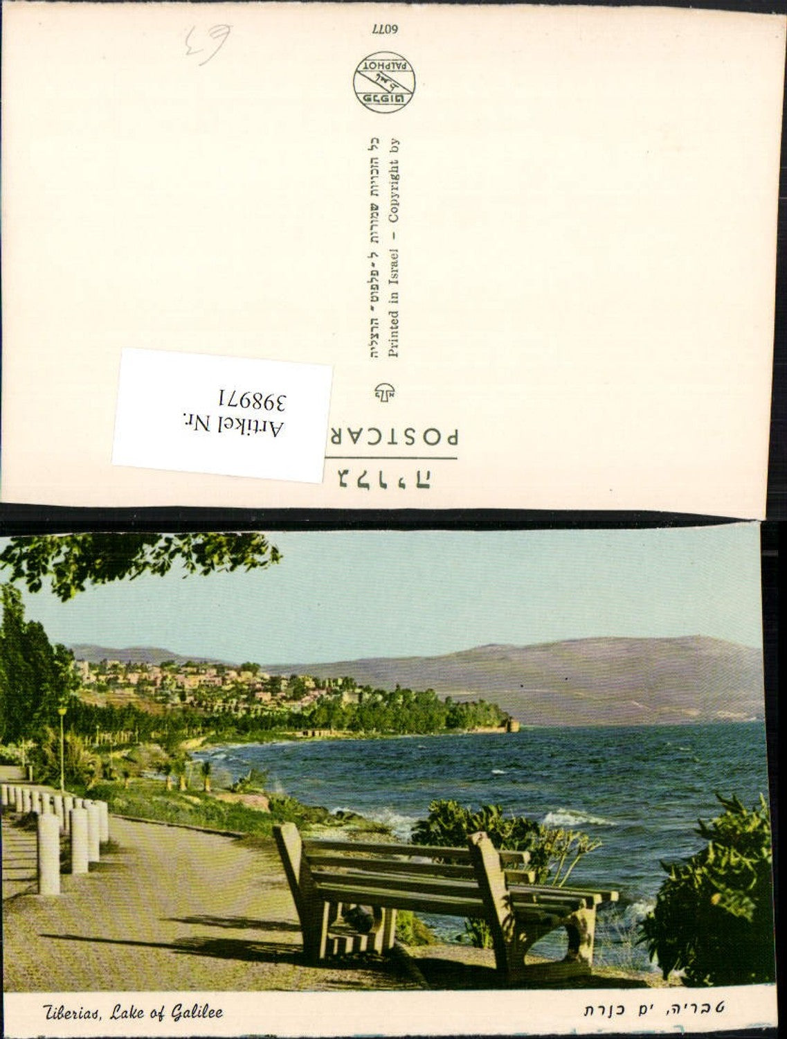 398971,Israel Tiberias Lake of Galilee See Küste