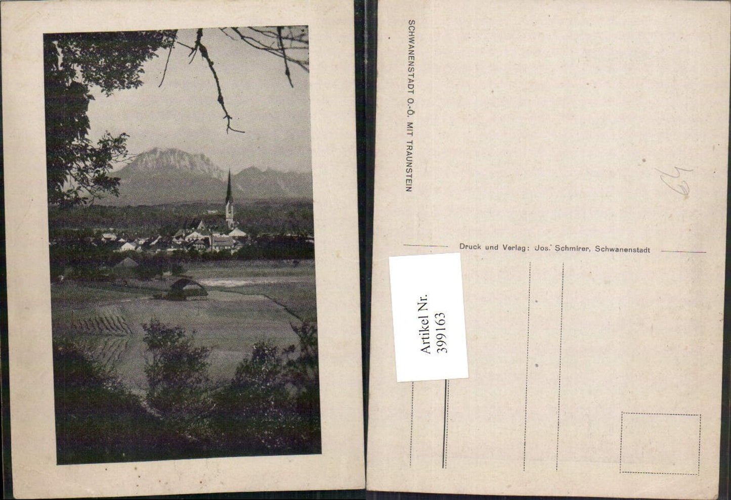 399163,Schwanenstadt Teilansicht m. Traunstein
