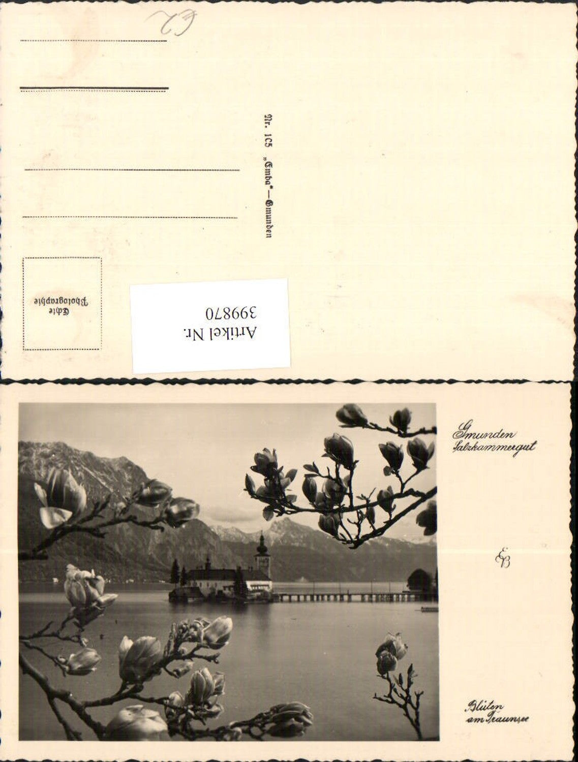 399870,Gmunden Schloss Ort Orth Bergkulisse Baumblüte
