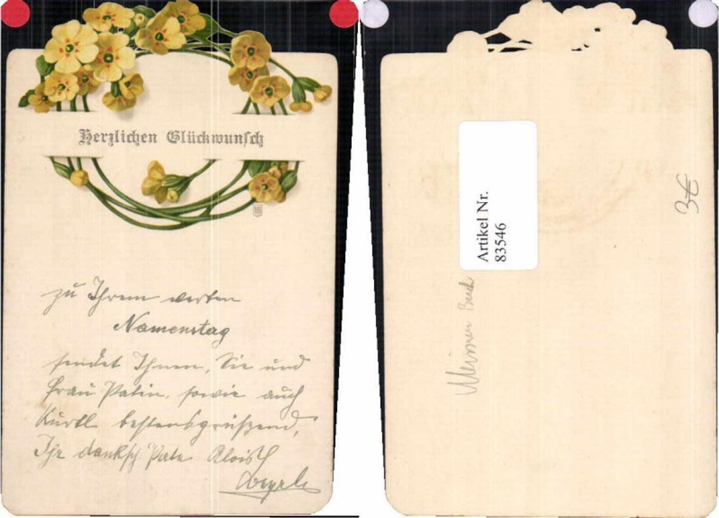 83546, Meissner & Buch Congratulations Flowers