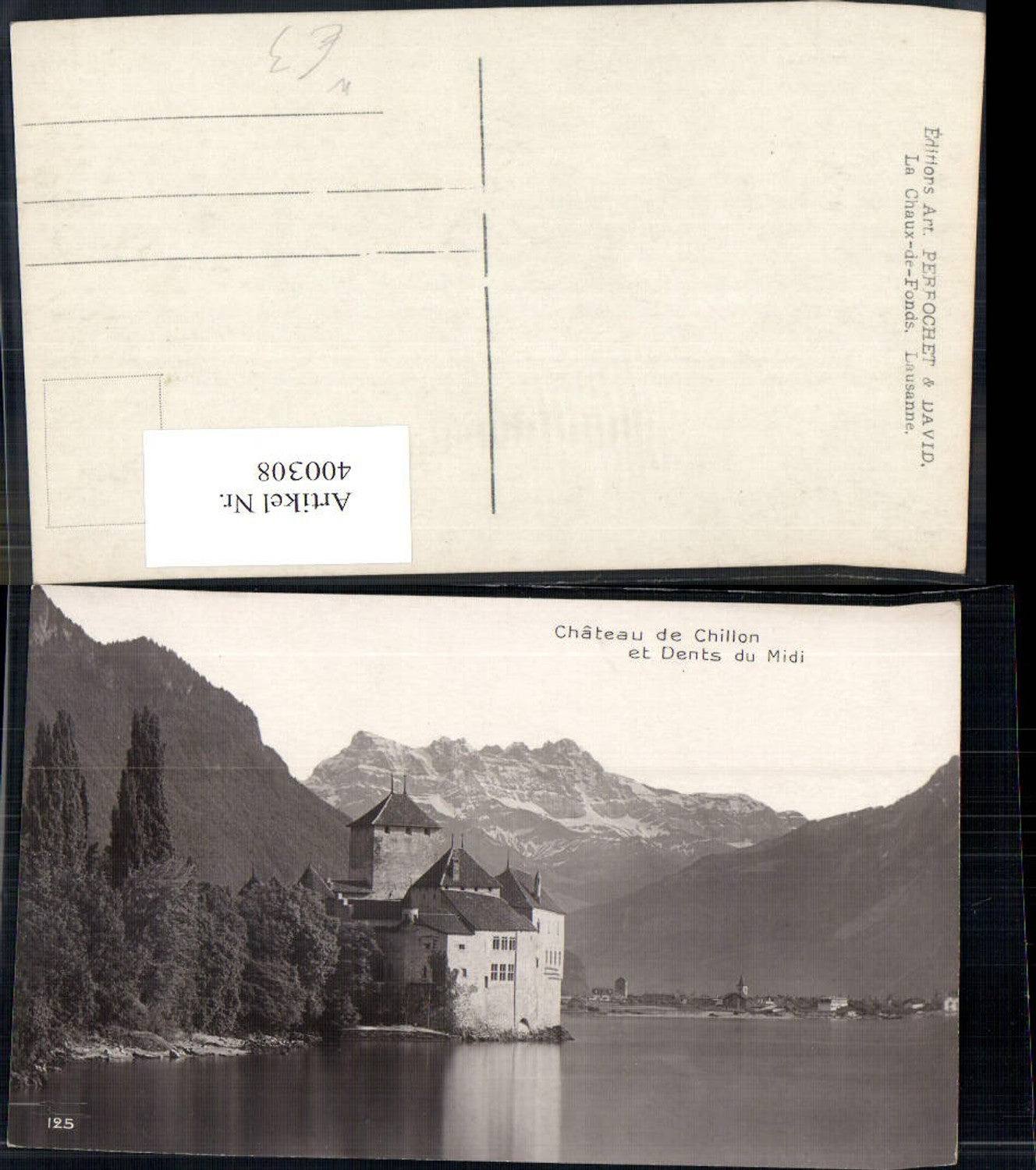 400308,Schloss Chateau de Chillon et Dents du Midi Veytaux