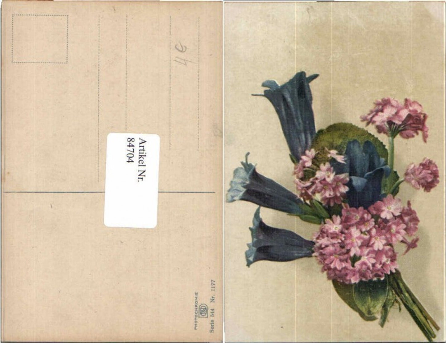 84704,Photochromie Ser. 544-1177 Blume Botanik