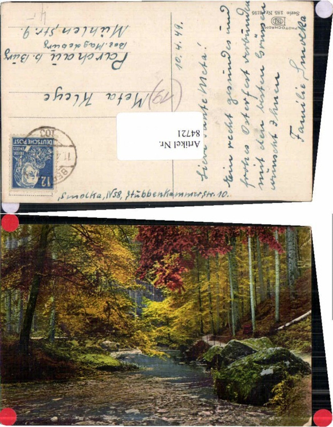 84721,Photochromie Ser. 185-3195 Herbst Wald Bäume