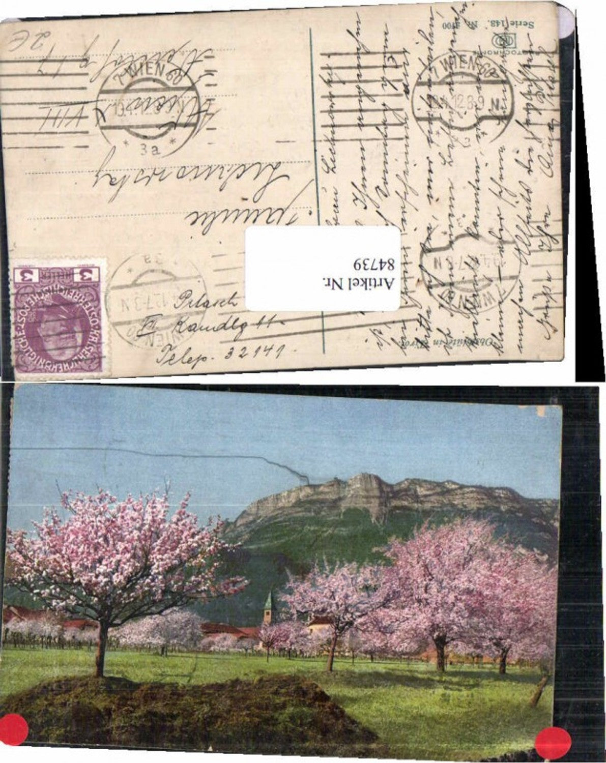 84739,Photochromie Ser. 143-2700 Frühling Blüte Bäume
