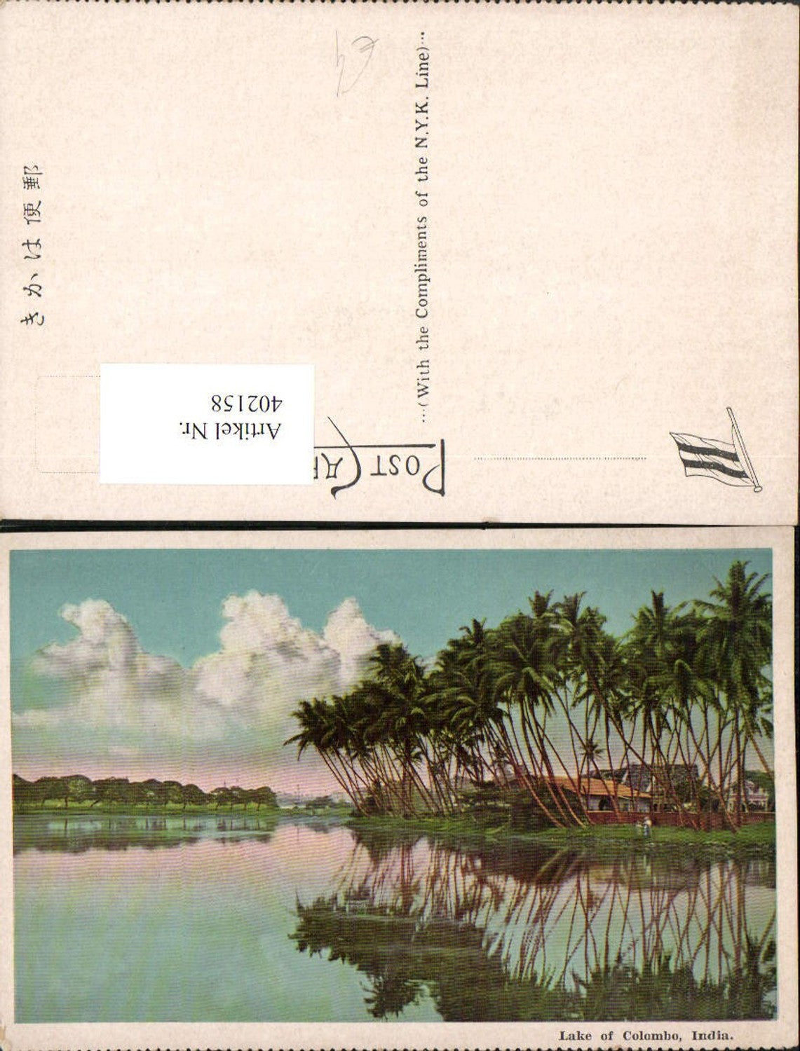 402158,India Lake of Colombo See Palmen