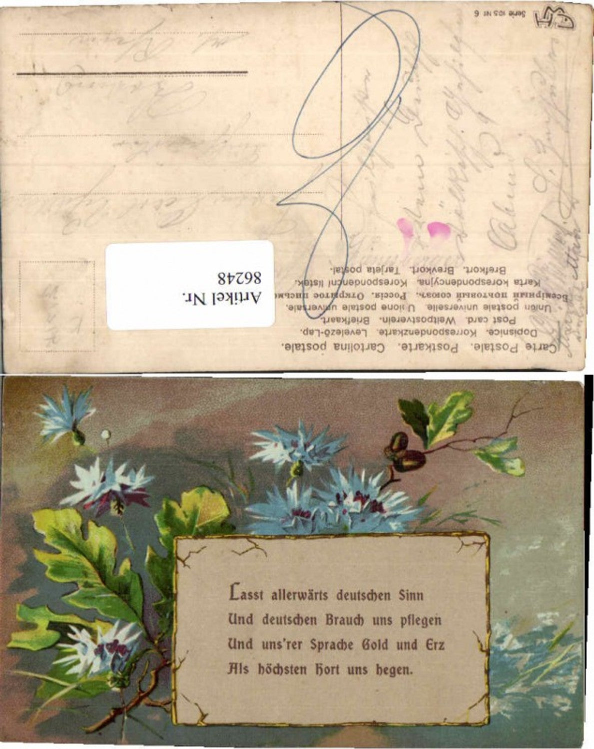 86248,Tolle Litho Blumen Spruch