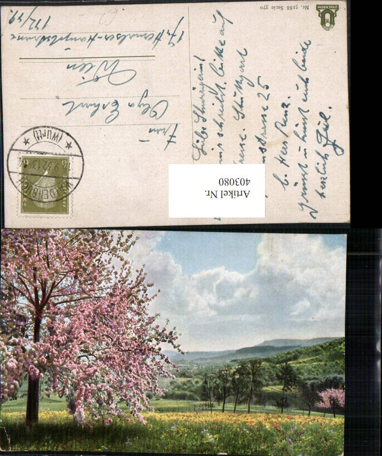 403080,Fotokunst Uvachrom 5188/370 Landschaft Baumblüte