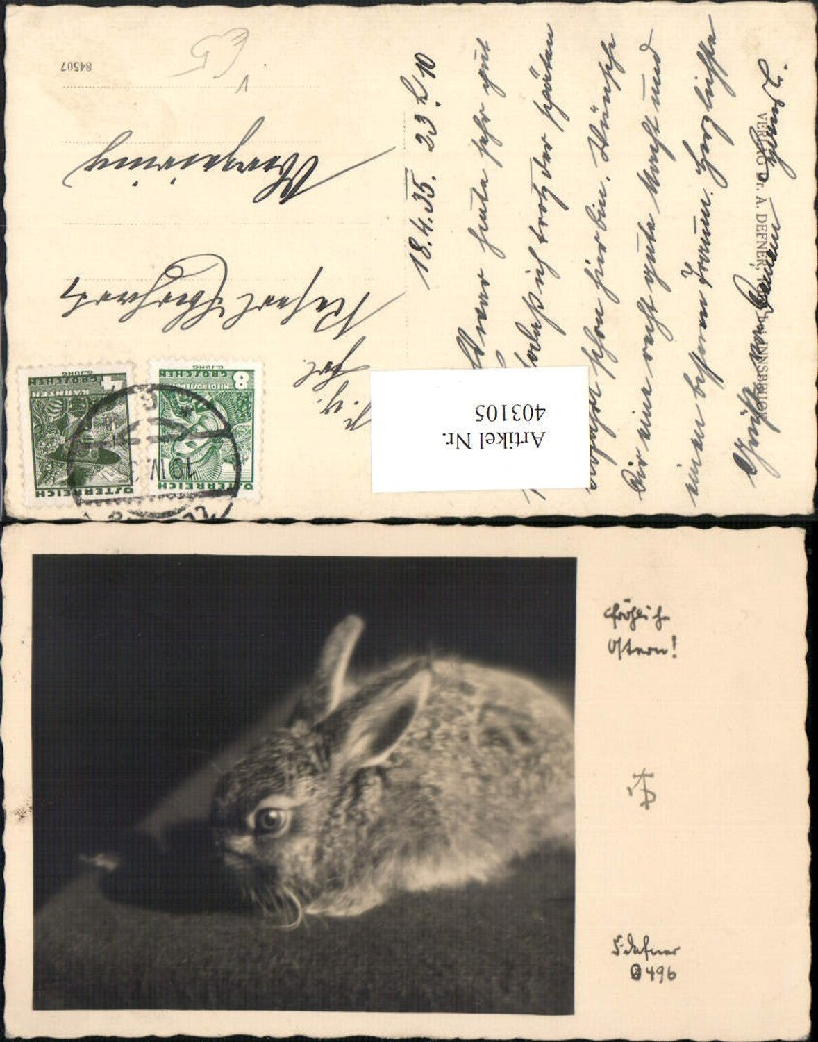 403105,Photographic Art Dr. Defner O496 Easter Bunny