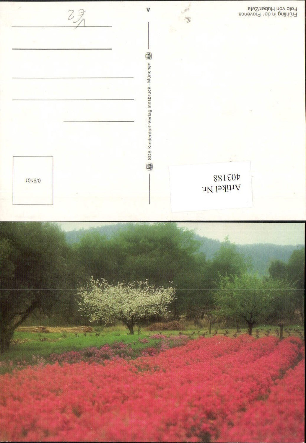 403188,SOS Kinderdorf 0/9101 Frühling in der Provence Blumenwiese