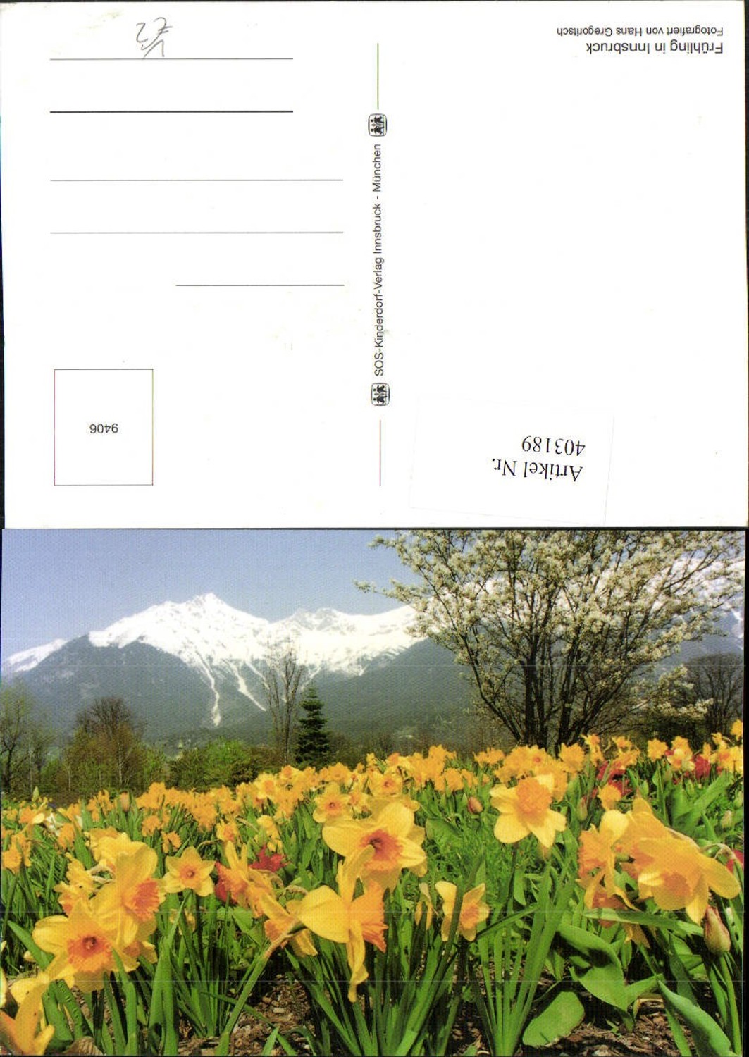403189, SOS Children's Village 9406 Spring in Innsbruck Daffodils Mountain scenery
