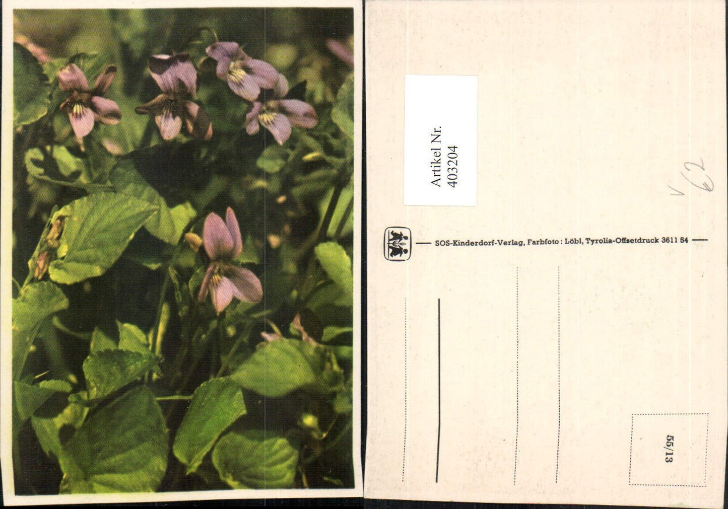 403204,SOS Kinderdorf 55/13 Blumen Veilchen