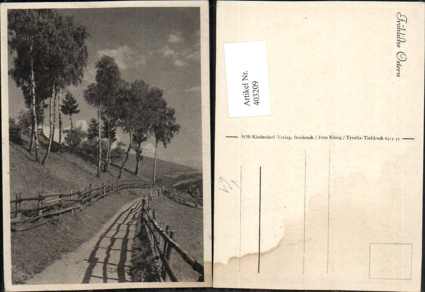403209, SOS Children's Village Easter Landscape Path Birches