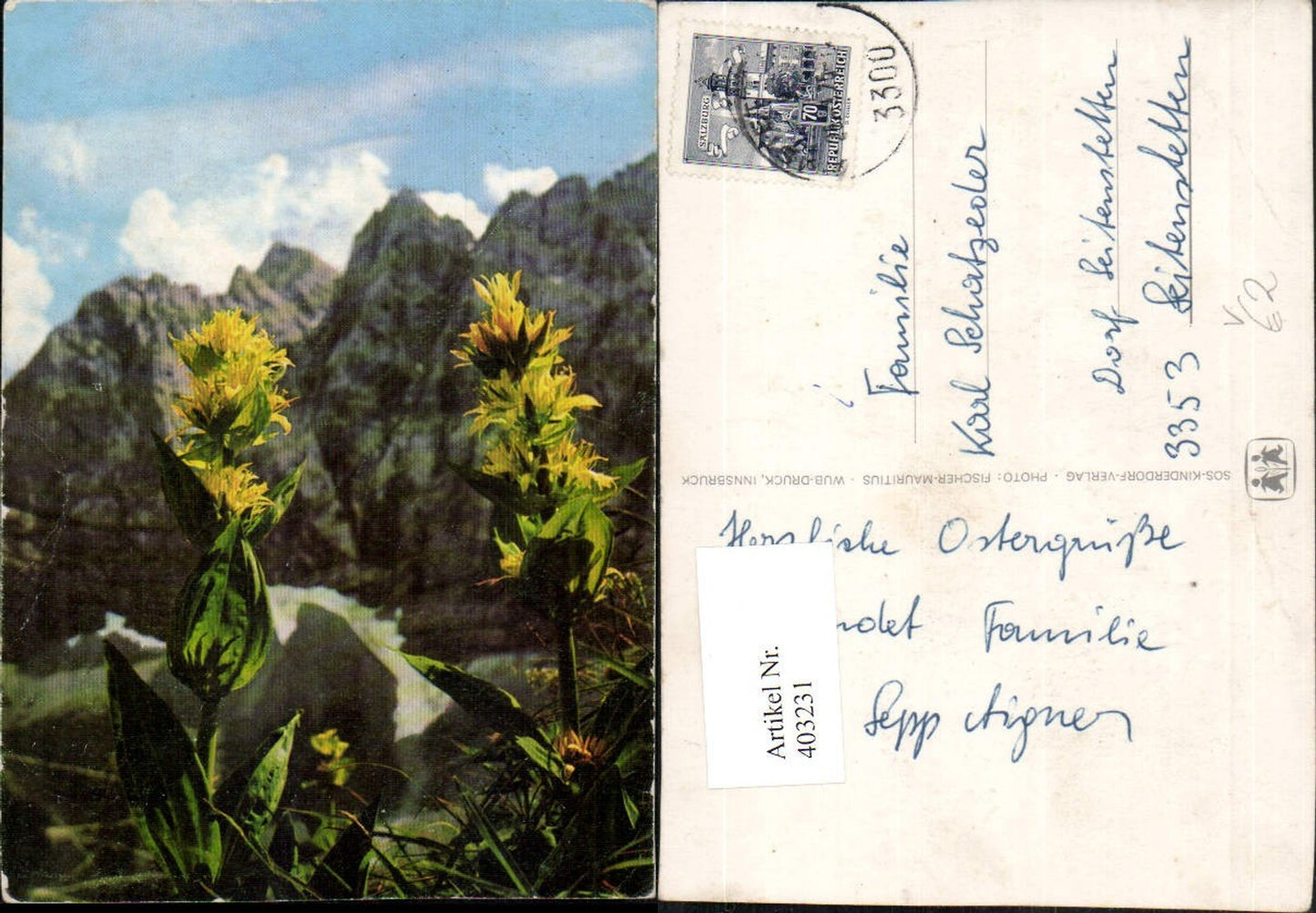 403231,SOS Kinderdorf Blumen Bergkulisse