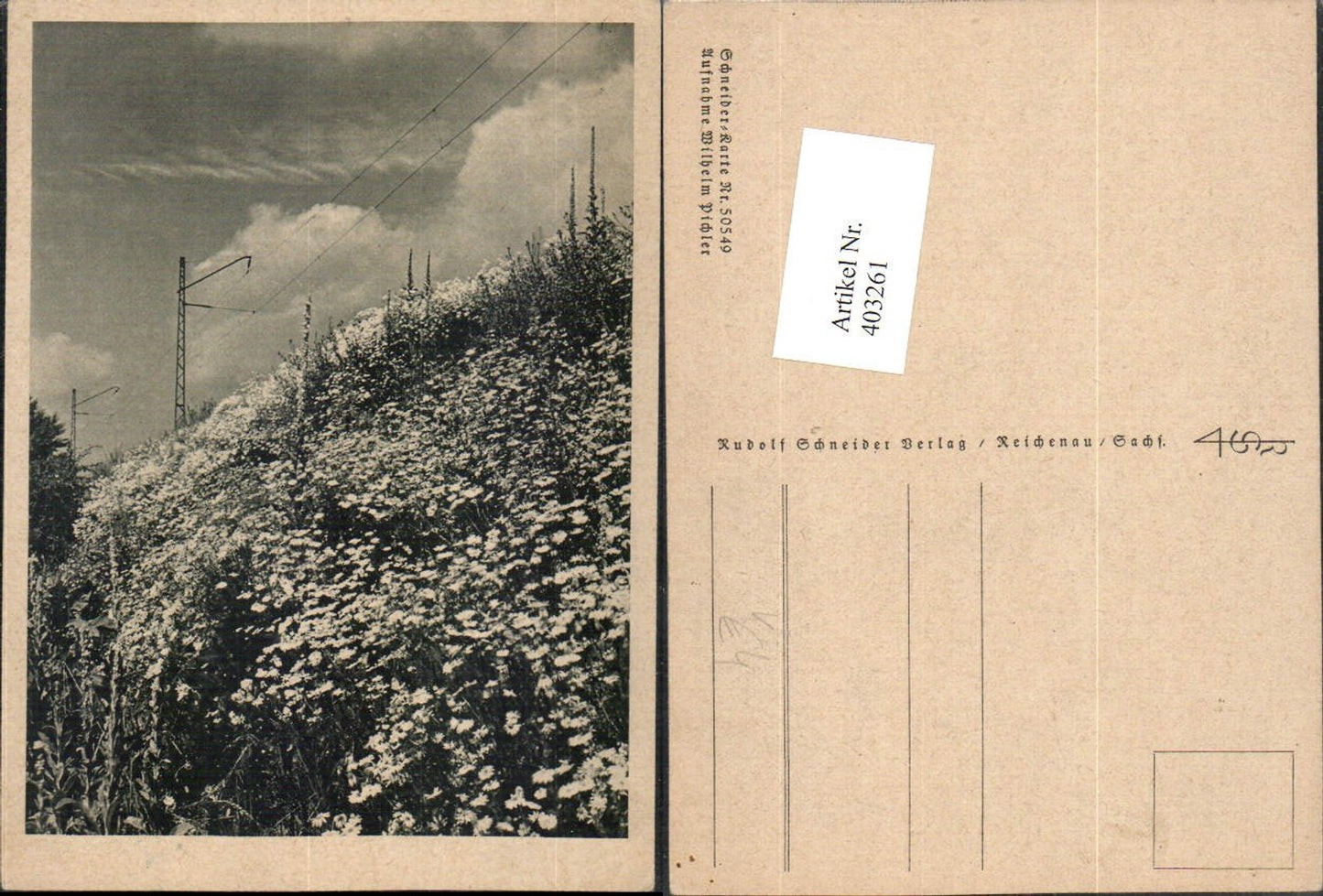 403261,Fotokunst Wilhelm Pichler Blumenwiese Stromleitung pub Schneider Verlag 50549