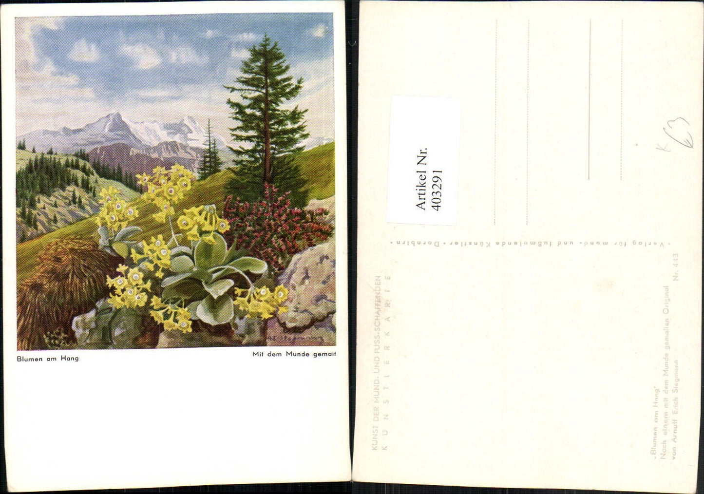 403291,Künstler AK Arnulf Erich Stegmann Blumen am Hang Schlüsselblume Bergkulisse