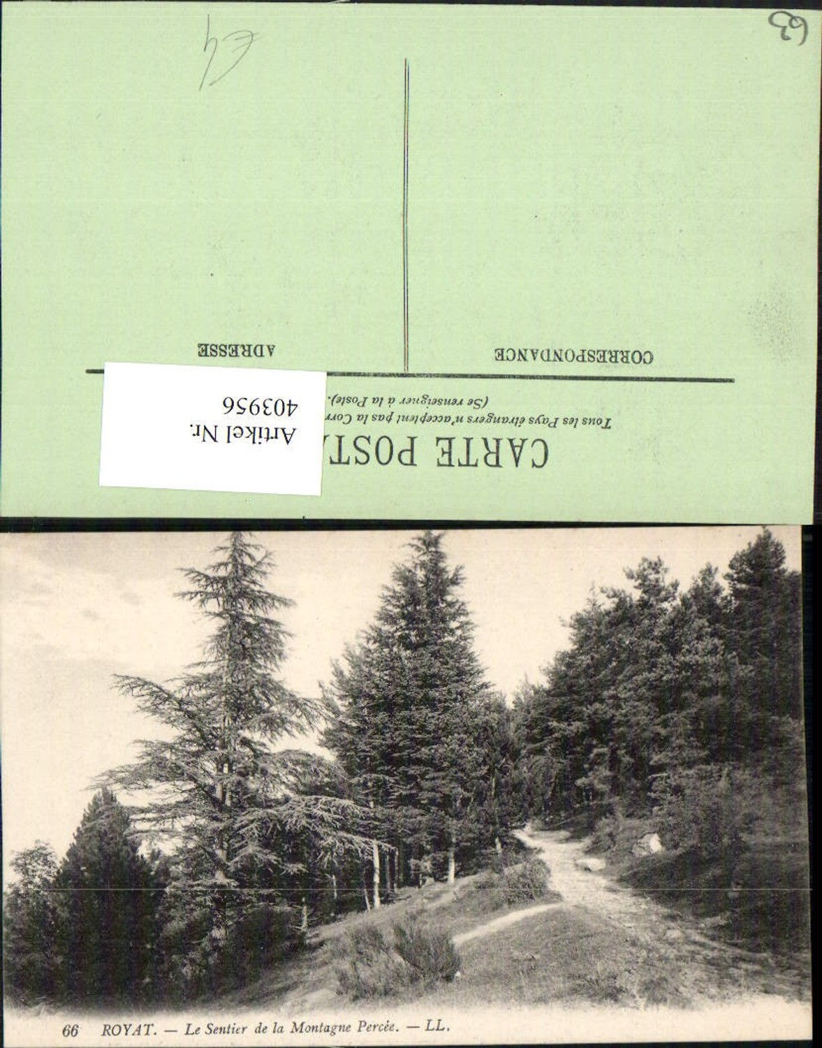 403956,Auvergne Puy-de-Dome Royat Le Sentier de la Montagne Percee Wald