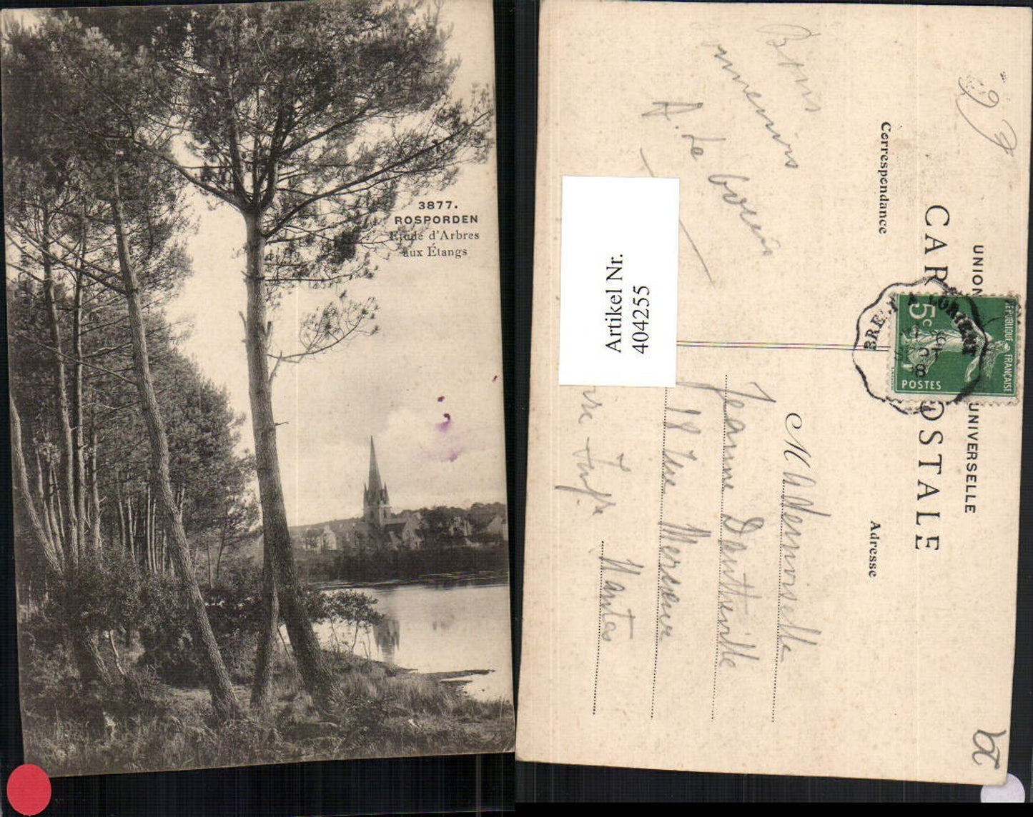 404255,Bretagne Finistere Rosporden Etude d'Arbres aux Etangs Teilansicht Bäume