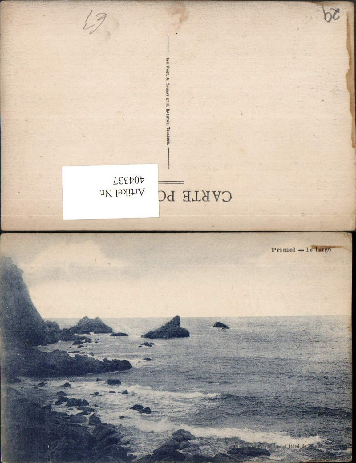 404337,Brittany Finistere Primrose Le Large Coast