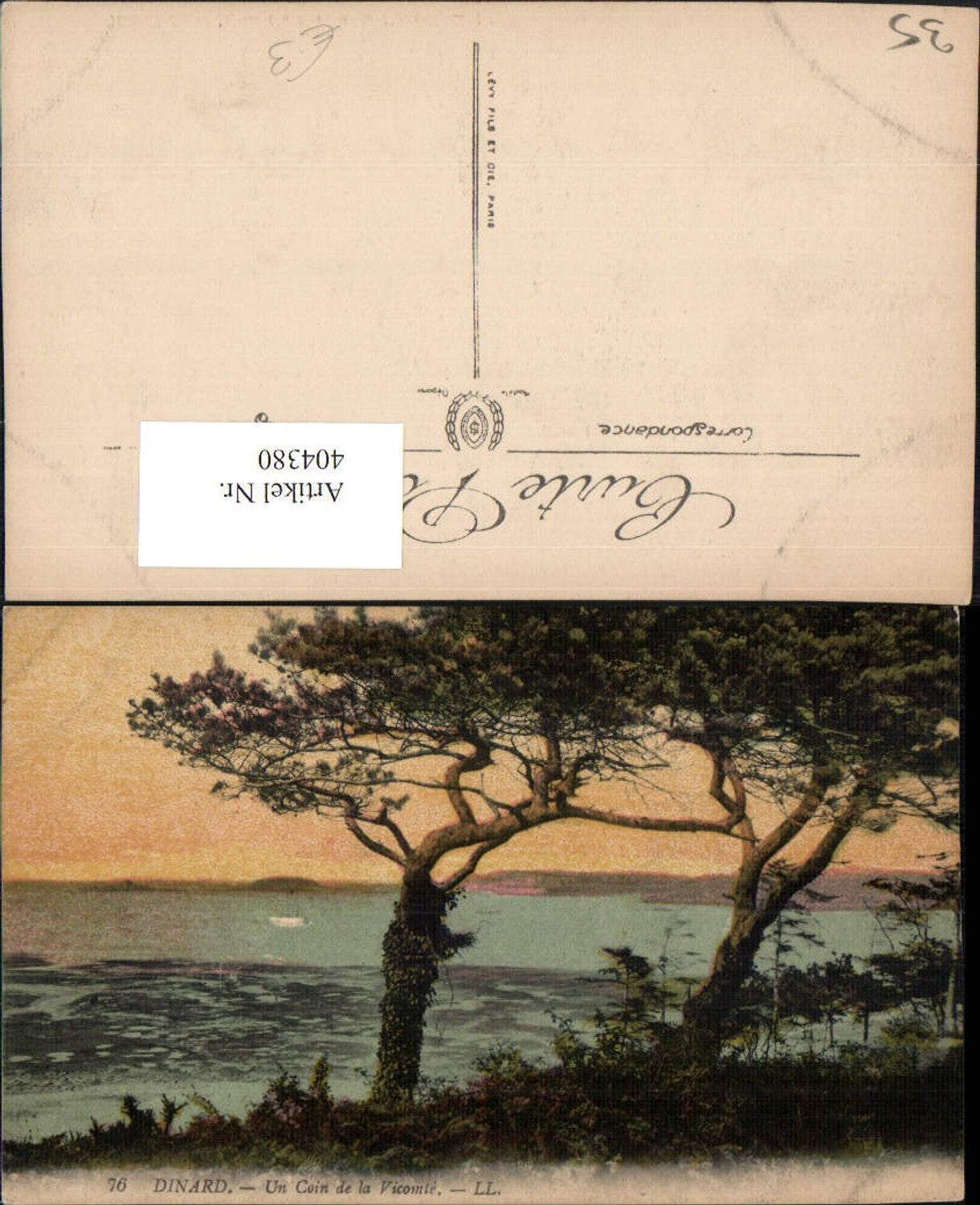 404380,Bretagne Ille-et-Vilaine Dinard Un Coin de la Vicomte Bäume