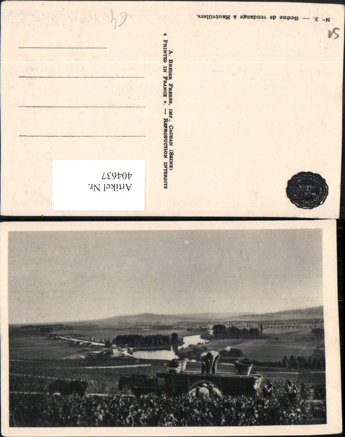 404637,Champagne-Ardenne Marne Scene de vendange a Hautvillers Weinreben
