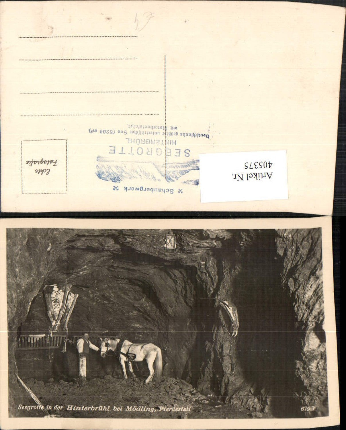 405375,Hinterbrühl b. Mödling Seegrotte Pferdestall Pferd