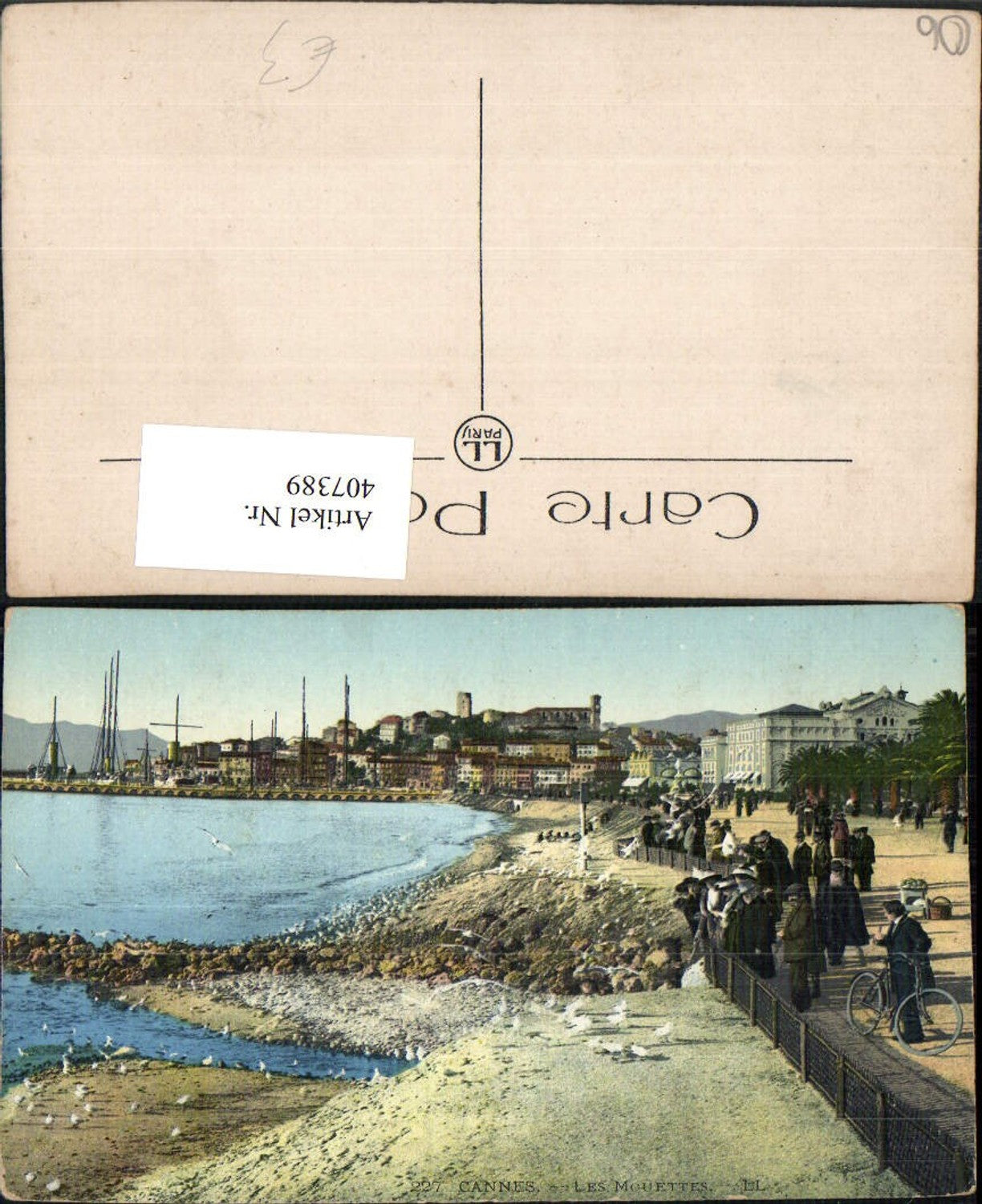 407389,Provence-Alpes-Cote-Azur Alpes-Maritimes Cannes Les Mouettes Küste Möwen