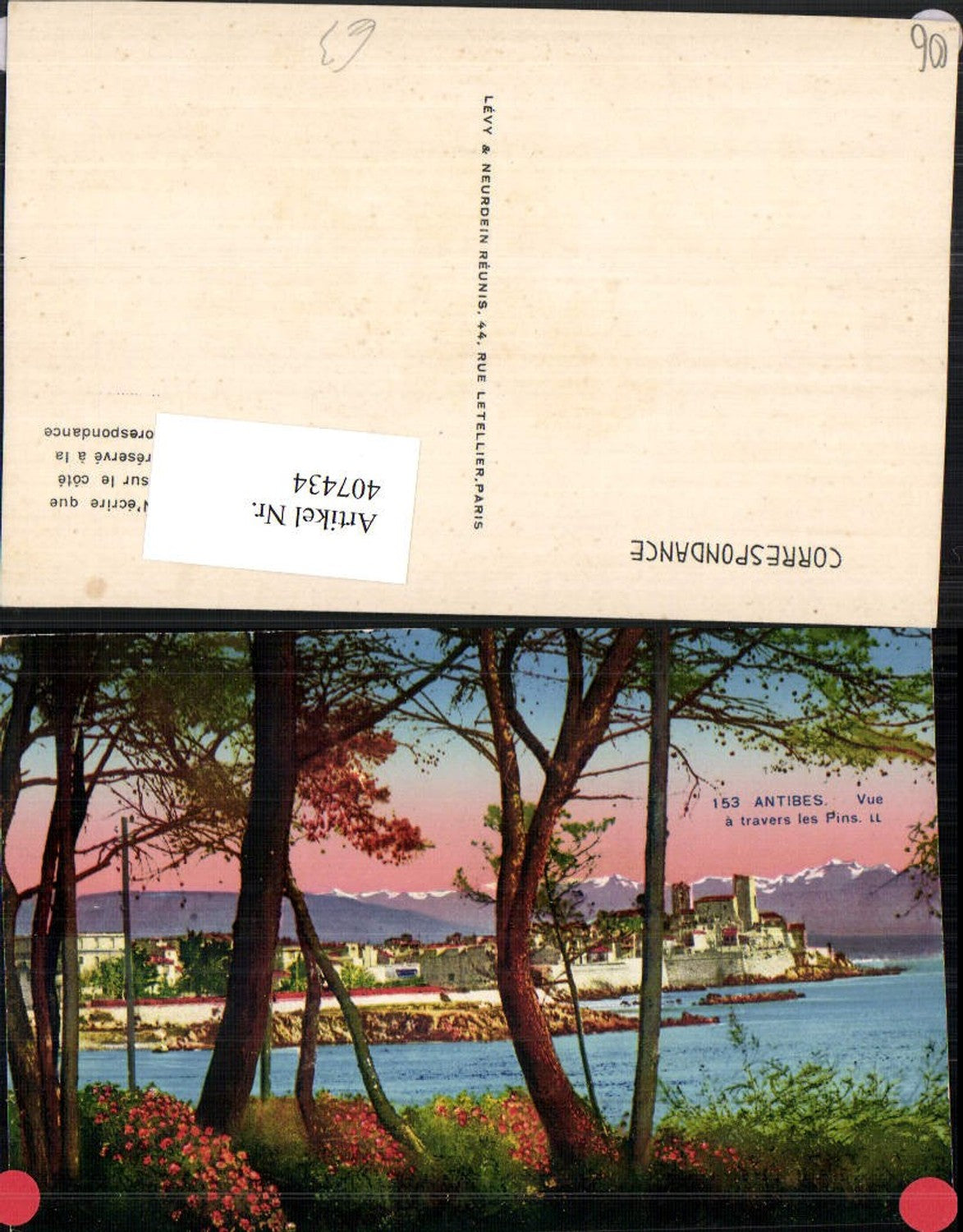407434,Provence-Alpes-Cote-Azur Alpes-Maritimes Antibes Vue a travers les Pins Totale