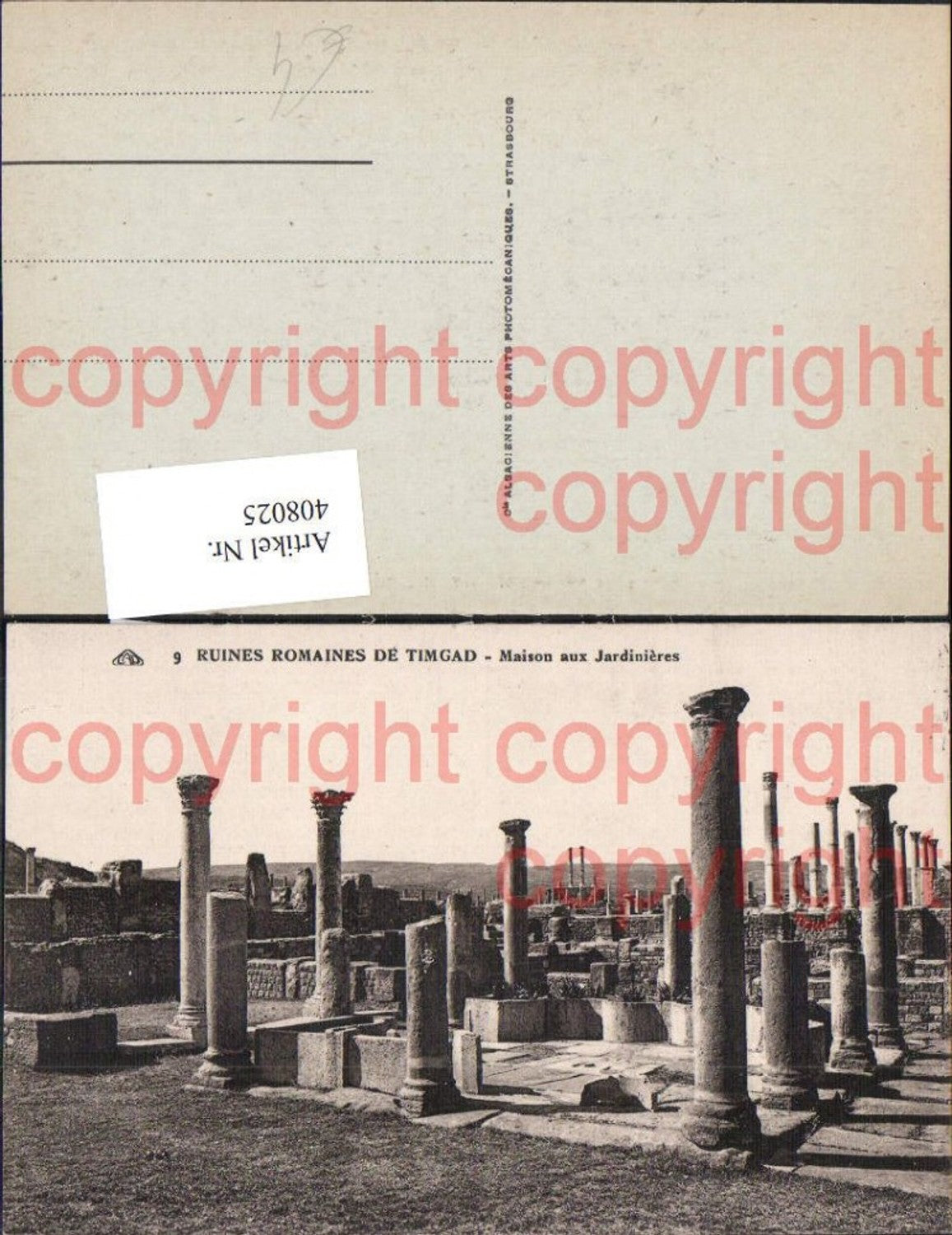 408025,Ruines Romaines de Timgad Maison aux Jardinieres Archäologie Ausgrabung