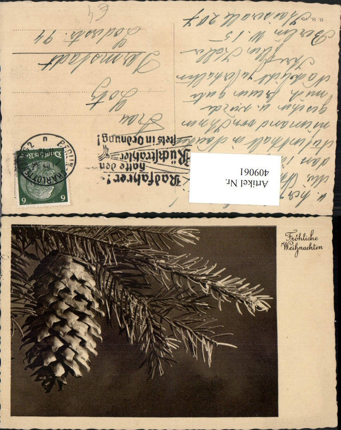 409061, Christmas fir branch cone