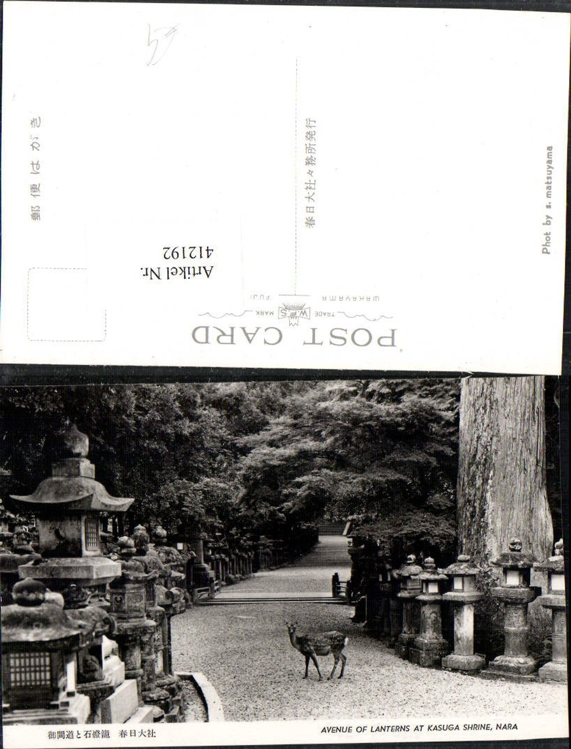 412192,Japan Nara Kasuga Shrine Avenue of Lanterns Laternen Reh