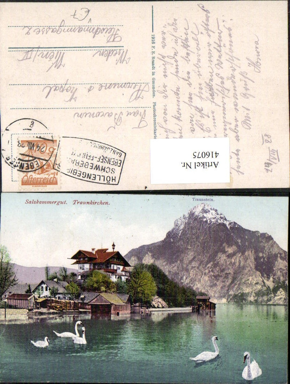 416075,Traunkirchen Schwäne m. Traunstein Bergkulisse pub F. E. Brandt 407