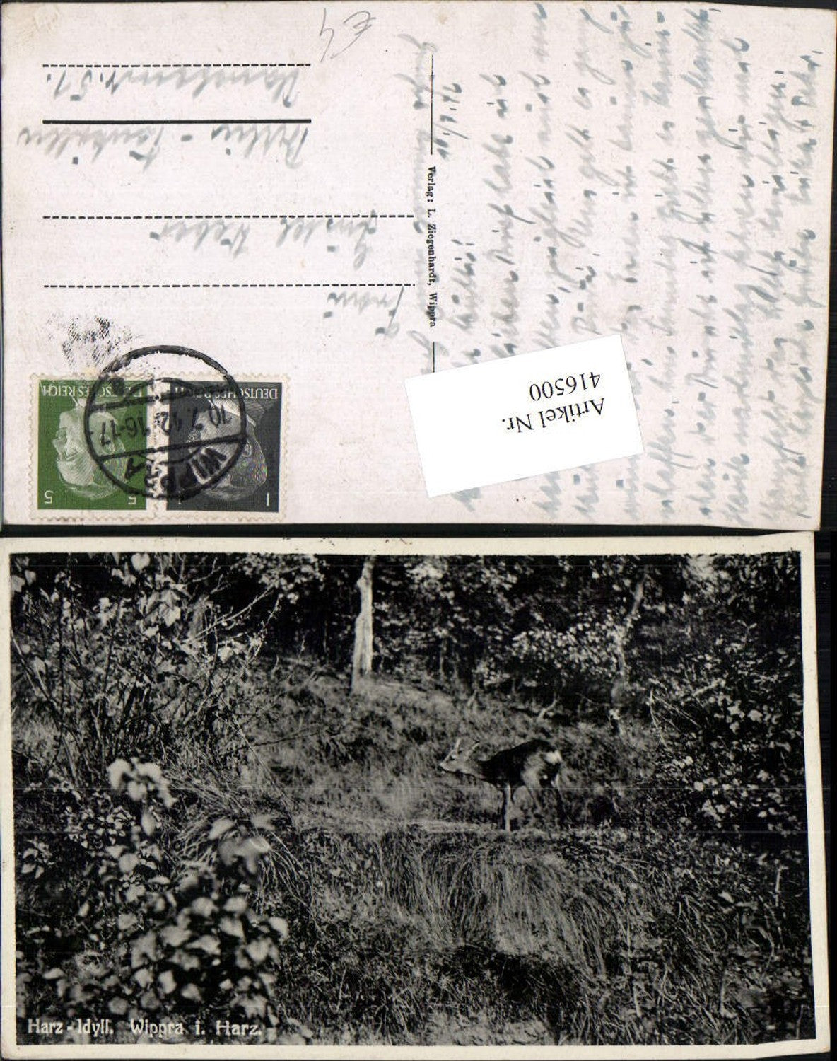 416500,Wippra im Harz Idyll Reh Wild