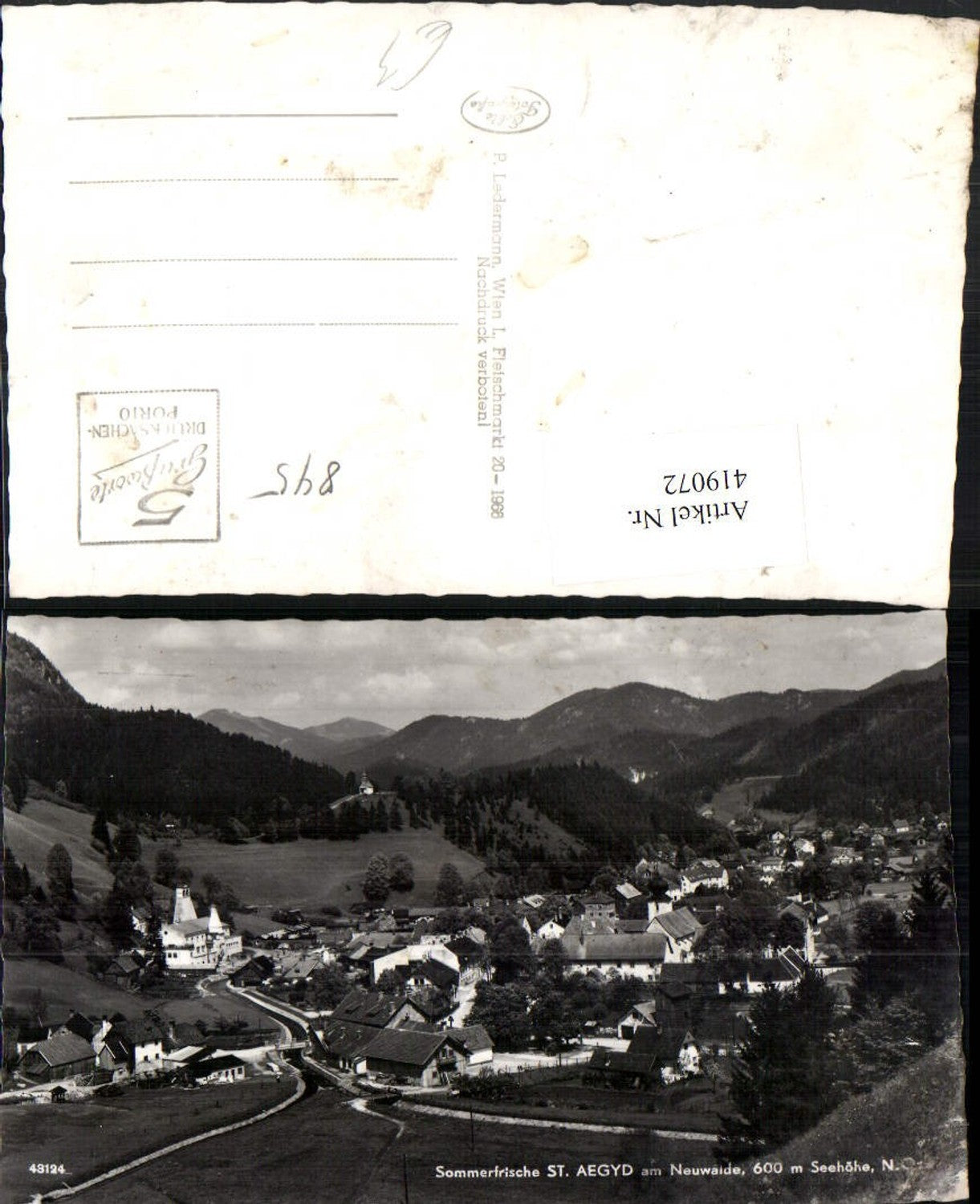 419072,St. Aegyd am Neuwalde Totale